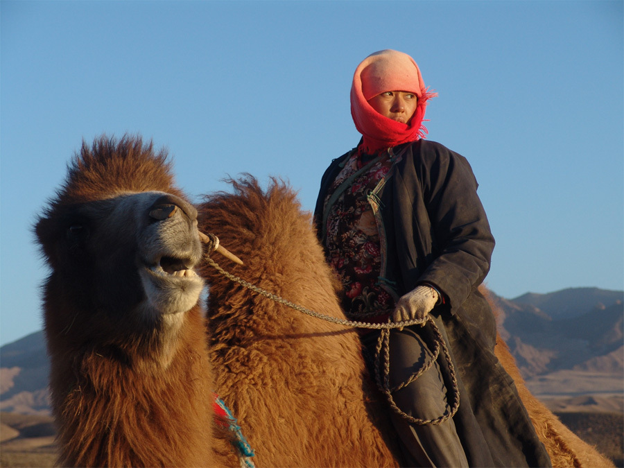 투야의&nbsp;결혼